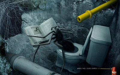 1583490636189197878 Как паук ходит в туалет