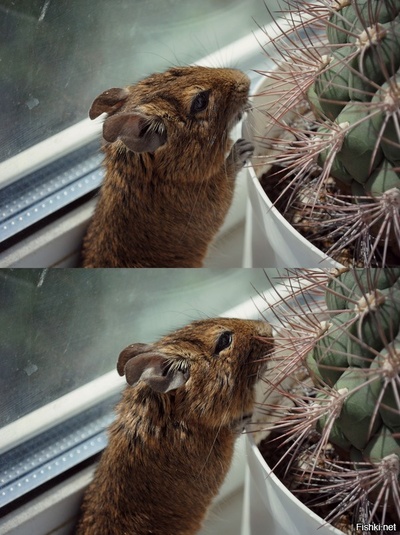 158592243018048691 ΠΠ°ΠΊ ΠΎΡΡΠ΅ΠΌΠΎΠ½ΡΠΈΡΠΎΠ²Π°ΡΡ ΡΡΠΈΠΊ Π΄Π»Ρ ΠΈΠ½ΡΡΡΡΠΌΠ΅Π½ΡΠΎΠ²