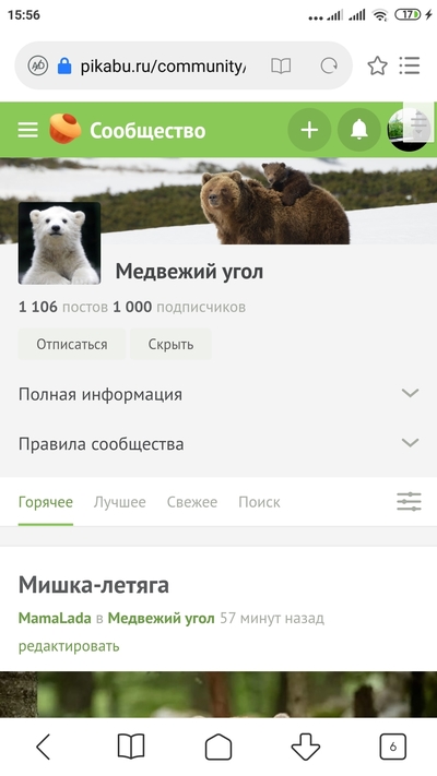 таким бы хлебалом да медка хапнуть. Смотреть фото таким бы хлебалом да медка хапнуть. Смотреть картинку таким бы хлебалом да медка хапнуть. Картинка про таким бы хлебалом да медка хапнуть. Фото таким бы хлебалом да медка хапнуть