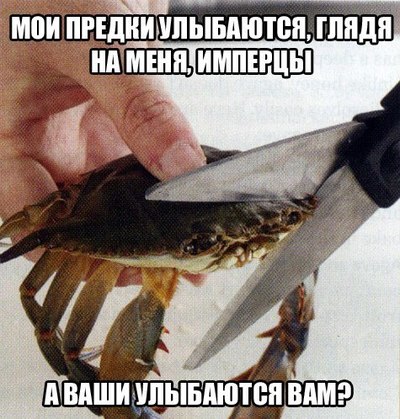 Иллюстрация к комментарию