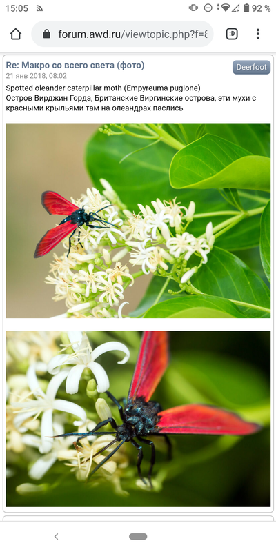 Иллюстрация к комментарию