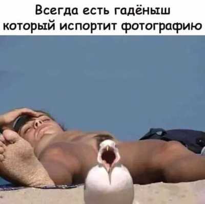 у всех есть такой друг который испортит фотографию. Смотреть фото у всех есть такой друг который испортит фотографию. Смотреть картинку у всех есть такой друг который испортит фотографию. Картинка про у всех есть такой друг который испортит фотографию. Фото у всех есть такой друг который испортит фотографию