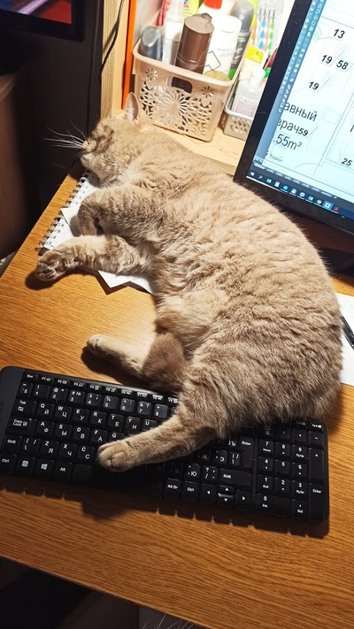 Иллюстрация к комментарию