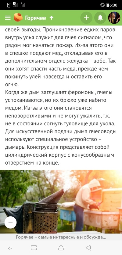 зачем накуривать пчелу затем. 1592969486131139238. зачем накуривать пчелу затем фото. зачем накуривать пчелу затем-1592969486131139238. картинка зачем накуривать пчелу затем. картинка 1592969486131139238.
