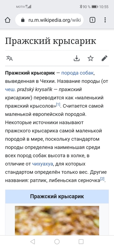 Иллюстрация к комментарию