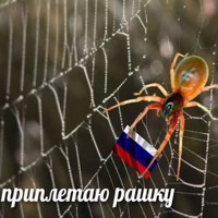 спиши у меня только не точь в точь. 1593877260169560400. спиши у меня только не точь в точь фото. спиши у меня только не точь в точь-1593877260169560400. картинка спиши у меня только не точь в точь. картинка 1593877260169560400. Только не списывай точь-в-точь – мем, который высмеивает мнимые сходства между людьми, предметами и явлениями. Картинка обычно содержит надпись “Дашь списать домашку? Да, только не списывай точь-в-точь”, а под ней размещены два похожих изображения.