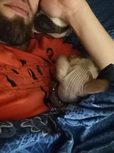 Иллюстрация к комментарию