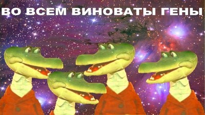 Ожидание vs реальность что. Смотреть фото Ожидание vs реальность что. Смотреть картинку Ожидание vs реальность что. Картинка про Ожидание vs реальность что. Фото Ожидание vs реальность что
