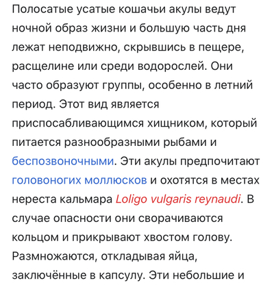 какие животные размножаются спорами. Смотреть фото какие животные размножаются спорами. Смотреть картинку какие животные размножаются спорами. Картинка про какие животные размножаются спорами. Фото какие животные размножаются спорами