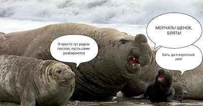 Ждун что за животное. Смотреть фото Ждун что за животное. Смотреть картинку Ждун что за животное. Картинка про Ждун что за животное. Фото Ждун что за животное