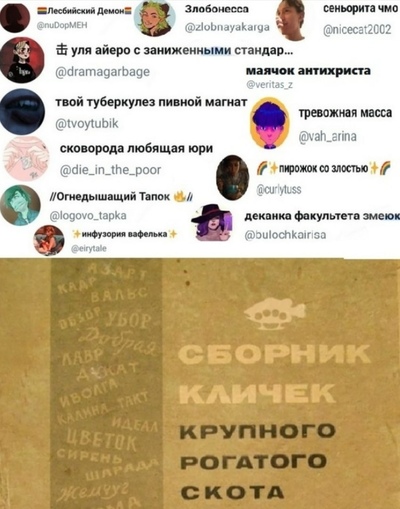 какой ник придумать в твиттере