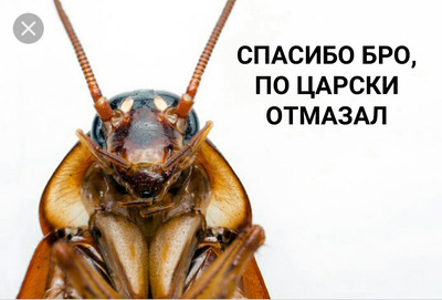 можно ли кофе варить дважды