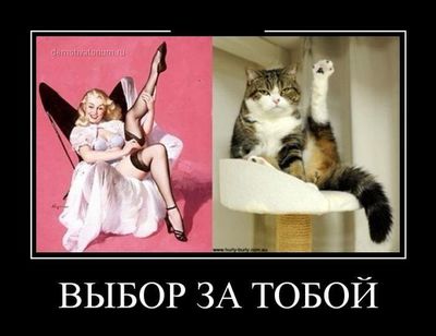 Как сделать угол 120 градусов. Смотреть фото Как сделать угол 120 градусов. Смотреть картинку Как сделать угол 120 градусов. Картинка про Как сделать угол 120 градусов. Фото Как сделать угол 120 градусов
