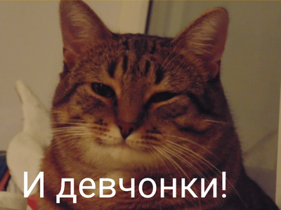тесак зачем к мальчику пришел. Смотреть фото тесак зачем к мальчику пришел. Смотреть картинку тесак зачем к мальчику пришел. Картинка про тесак зачем к мальчику пришел. Фото тесак зачем к мальчику пришел