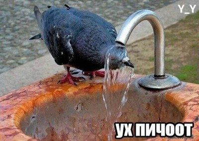 л логика почему так пишут. Смотреть фото л логика почему так пишут. Смотреть картинку л логика почему так пишут. Картинка про л логика почему так пишут. Фото л логика почему так пишут