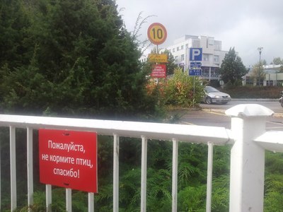 ����������� � �����������