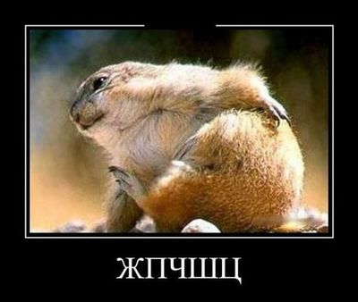 зачем женщинам длинные ногти. Смотреть фото зачем женщинам длинные ногти. Смотреть картинку зачем женщинам длинные ногти. Картинка про зачем женщинам длинные ногти. Фото зачем женщинам длинные ногти