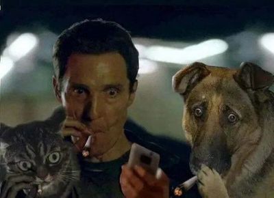 1606328990173254814 rule34 ellie 14 years что это такое