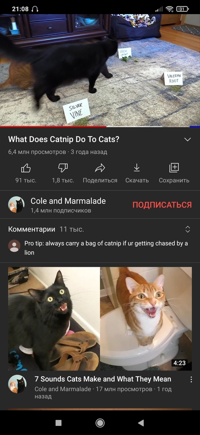 Иллюстрация к комментарию