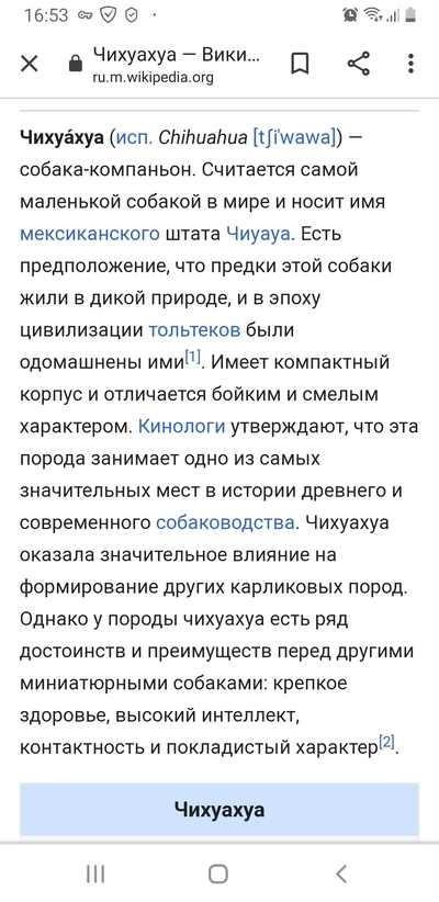 Можно ли есть зебр