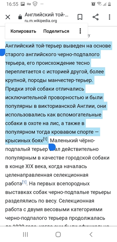 Можно ли есть зебр
