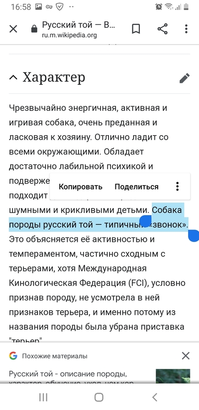 Можно ли есть зебр