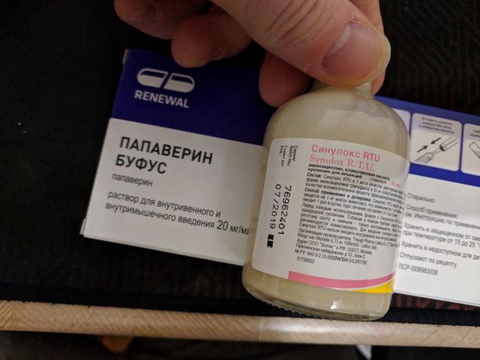 Отдам за так лекарства для животных (может и для людей что пойдет) | Пикабу