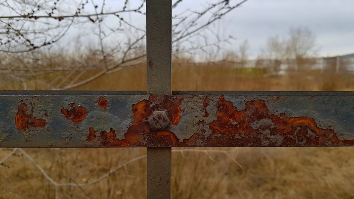 Freedom everywhere and nowhere... - My, The photo, Lattice, Fence