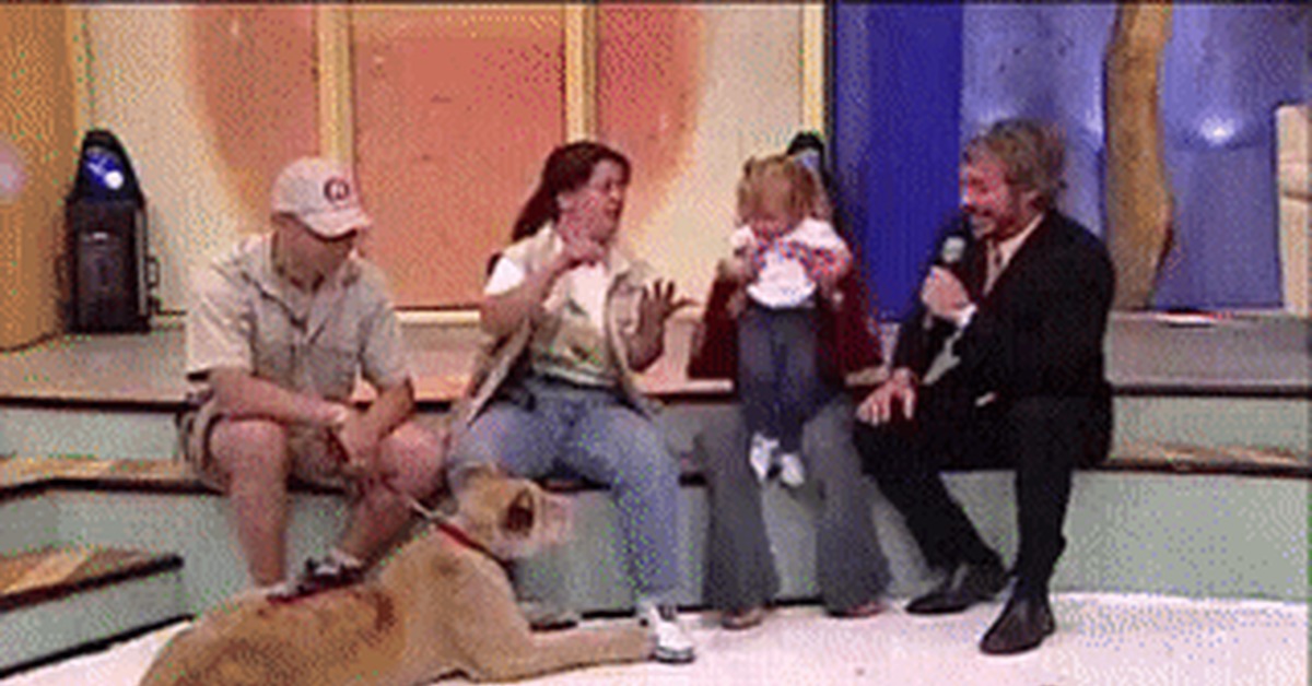 Лев напал на девочку. В цирке лев напал на девочку. В цирке лев напал на девочку. Нападения животного на ребёнка. Лев напал на девочку.