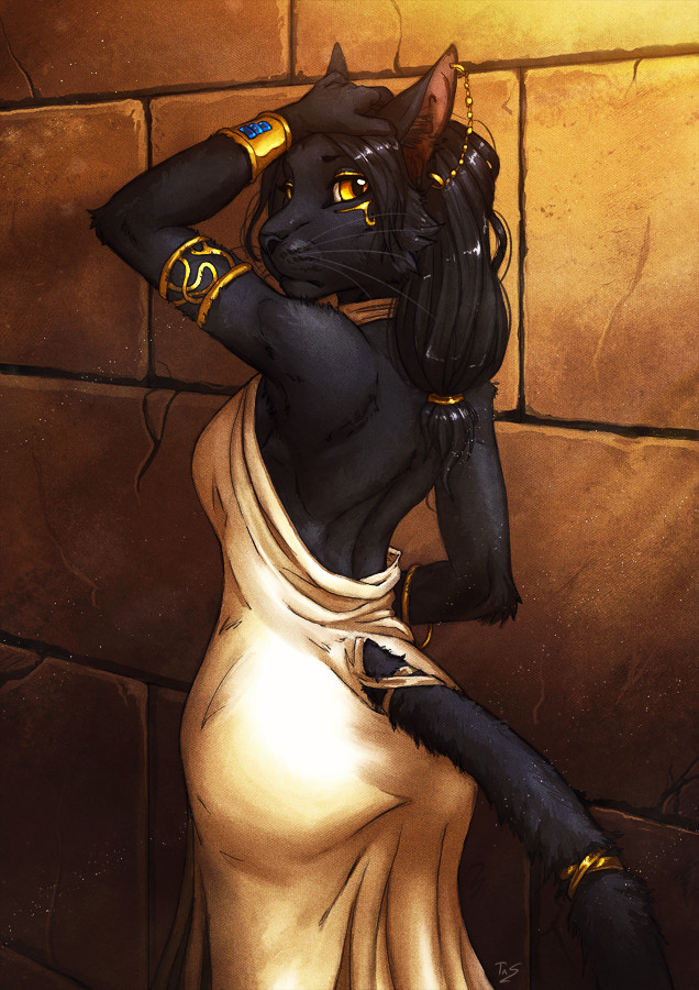 Among Ancient Walls - Tasanko, Furry, Art, cat, Ancient Egypt, Gold