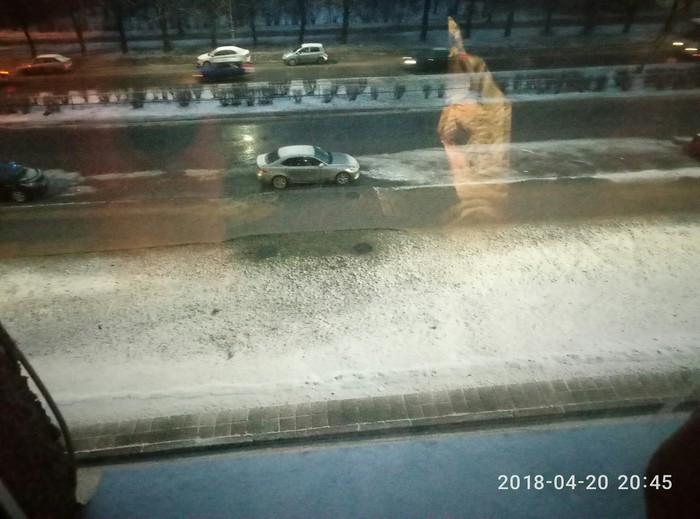 20 ������, ������������