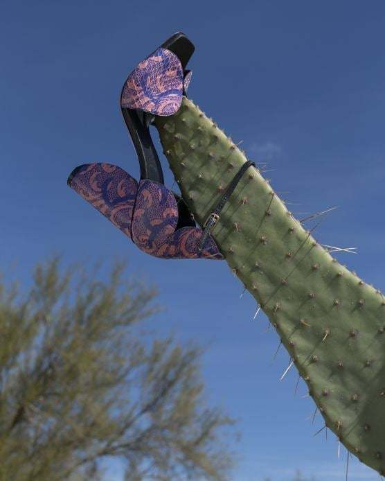 unshaven - Legs, , Cactus