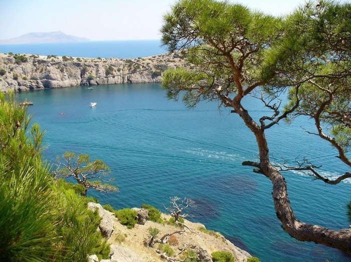 Новый Свет. Крым. Крым, Красивое, Природа, Длиннопост, Картинка с текстом, Интересное, Путешествия, Отдых