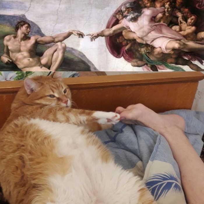 ���������� ������� ��� �����