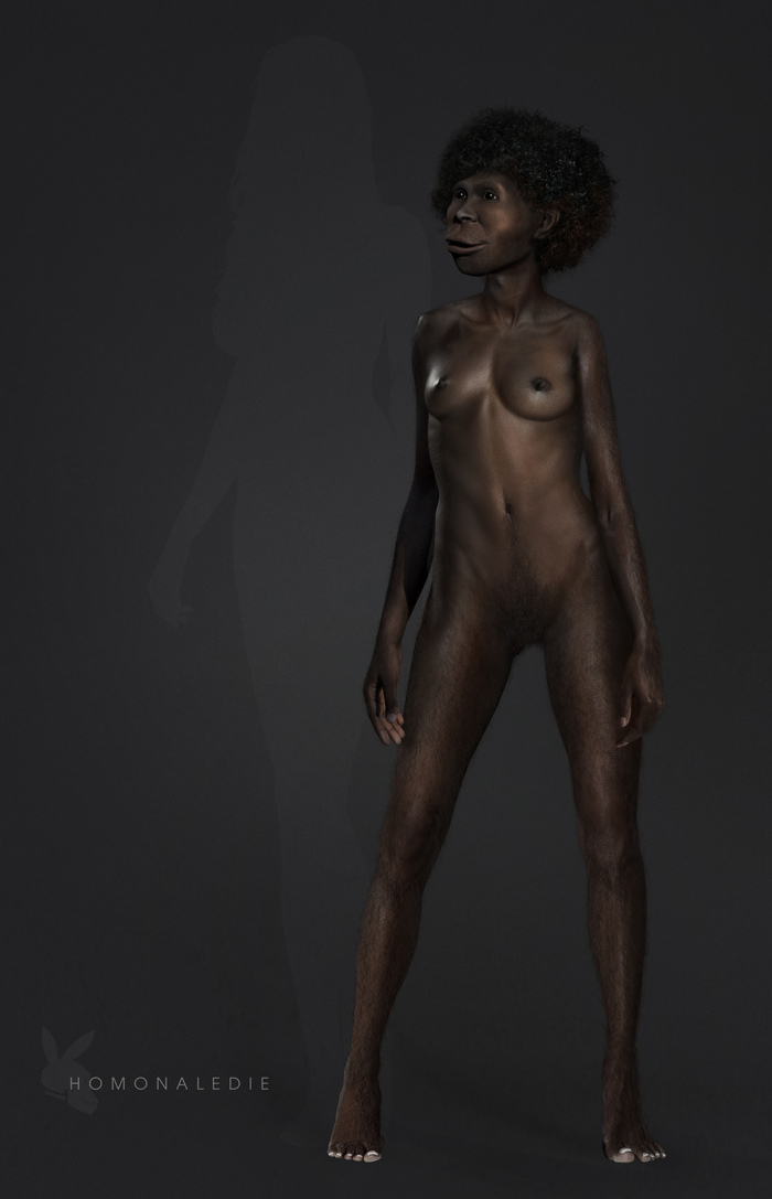 Homo naledi (variation on a theme) - NSFW, My, Reconstruction, Anthropogenesis, Friday tag is mine, Homo naledi, Creation, Longpost