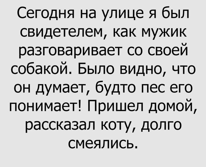 Они нас понимают?! - Животные, Кот, Общение, Собака, Юмор