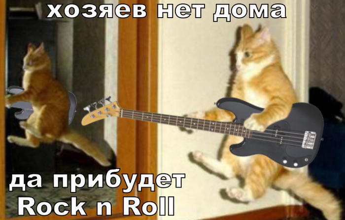 Cat n Roll - Кот, Гитара, Рок, Животные, Домашнее