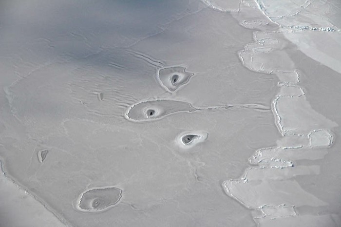 Scientists discover mysterious holes in Arctic ice - Ice, Hole, It seemed, Arctic