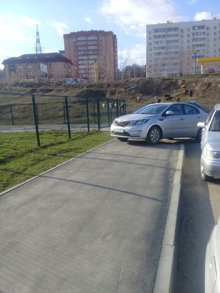 Парковка у детского сада - Моё, Парковка, Детский сад, Родители, Длиннопост