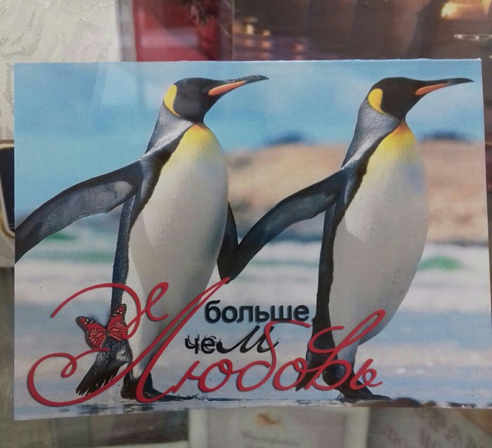 More than love - Tolerance, Love, Penguins, My