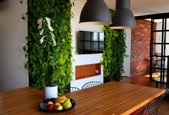 ����������������� ��� � ���������. ������, ���, ��������, ��������, ������ ���������, ����������