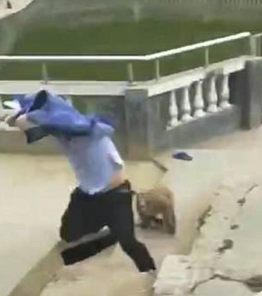 Tourist pushes monkey into water and gets tough response - Monkey, China, Zoo, Bravery and stupidity, Longpost