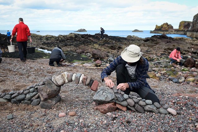 European Championships in laying stones in Dunbar (16 photos) - A rock, Shore, Scotland, Competitions, The photo, Longpost