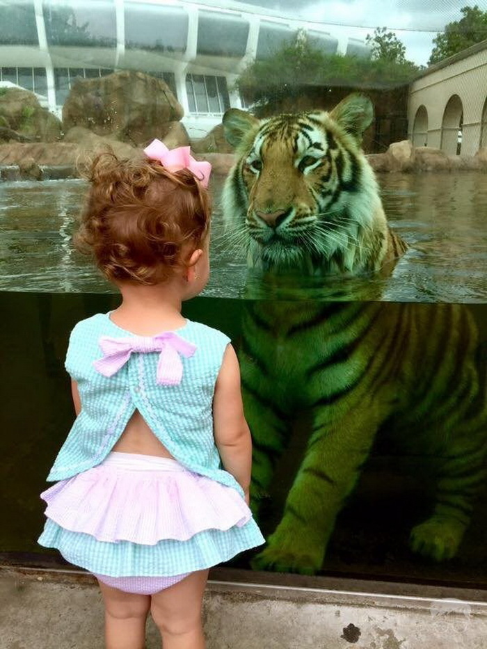 Girl and tiger... - Girl, Tiger, Water procedures, , Zoo, The photo, Children