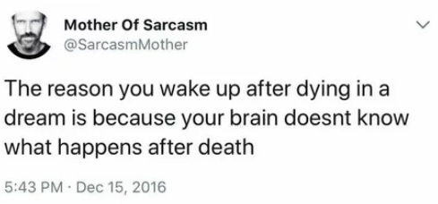 The reason you wake up after death in a dream is because the brain doesn't know what happens after death. - Quotes, Translation, Brain, Thoughts, Dream, Death, Life after death, 9GAG