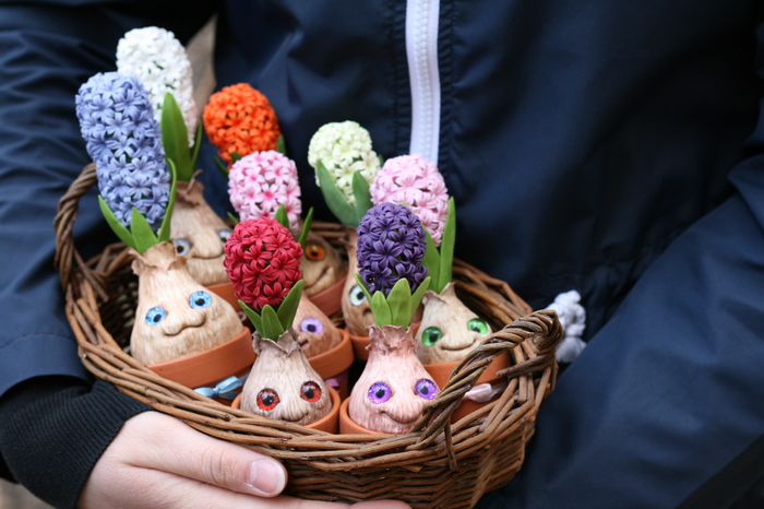 Whole basket of hyacinths - My, Polymer clay, Handmade, Flowers, Hyacinths, Needlework without process