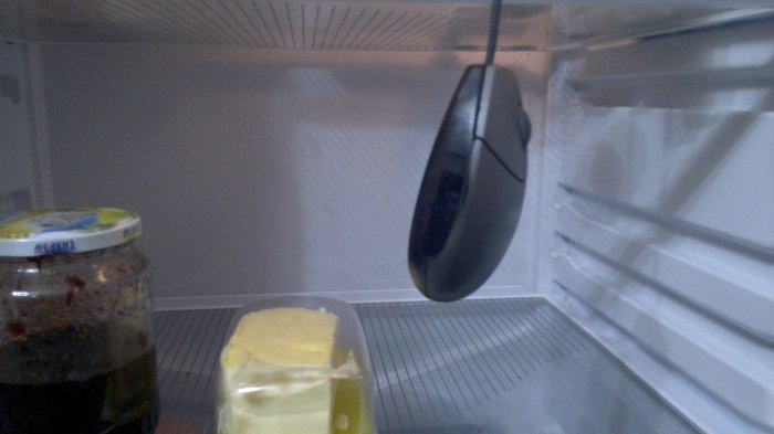 A modern take on the catchphrase - The photo, Refrigerator, Mouse hanged itself, PC mouse