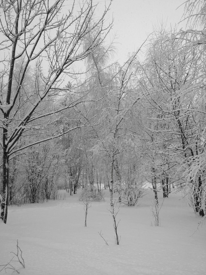 White silence - Winter, Russia, Nature, The photo, Snow, Longpost