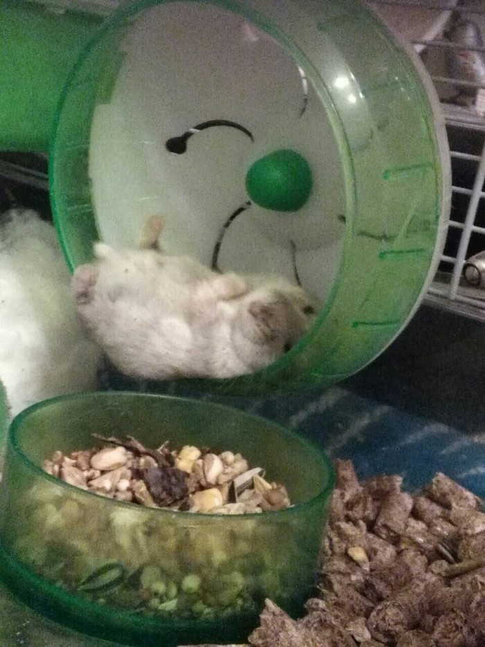    , ,  , , , 