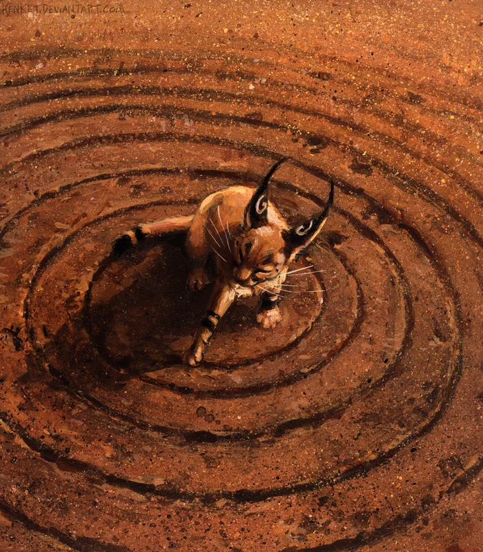 Where do crop circles come from? - Kenket, Art, cat, Crop Circles, Mystic